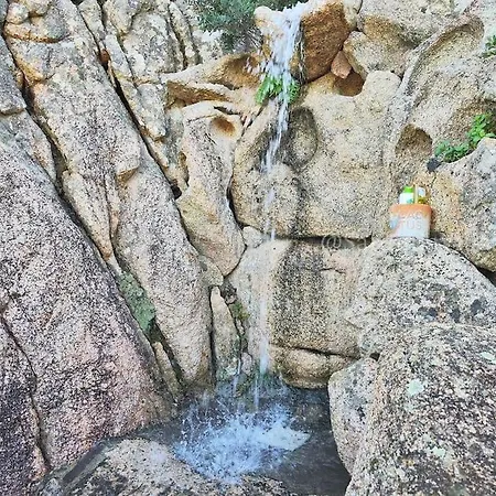 Magica-pantogia/porto Cervo * ポルト・チェルボ