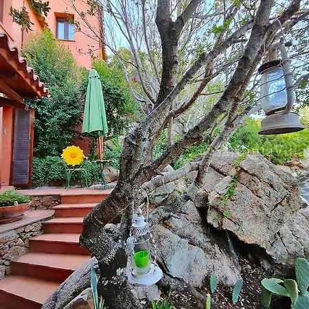 Magica-pantogia/porto Cervo Πόρτο Τσέρβο